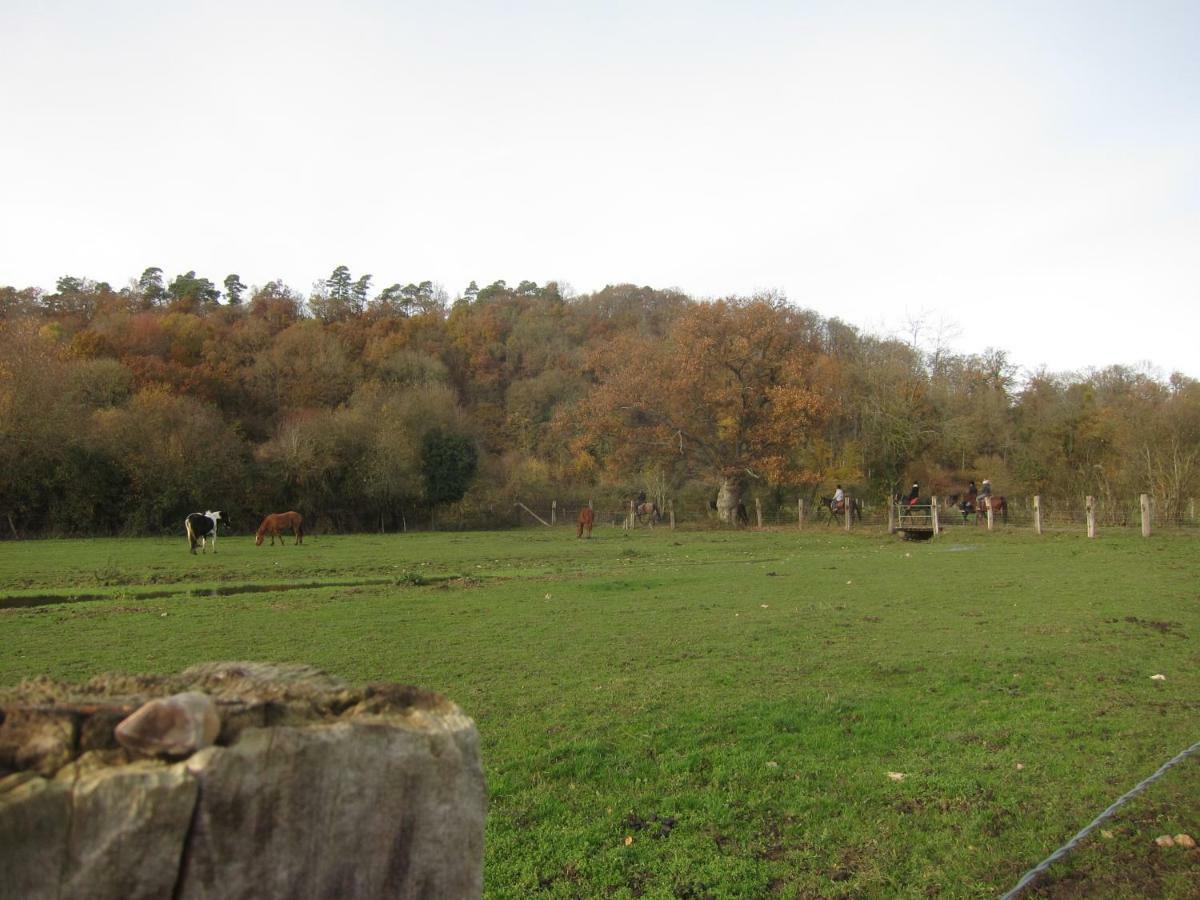 Le Murmure De La Falaise Panzió Beaumont-le-Roger Kültér fotó